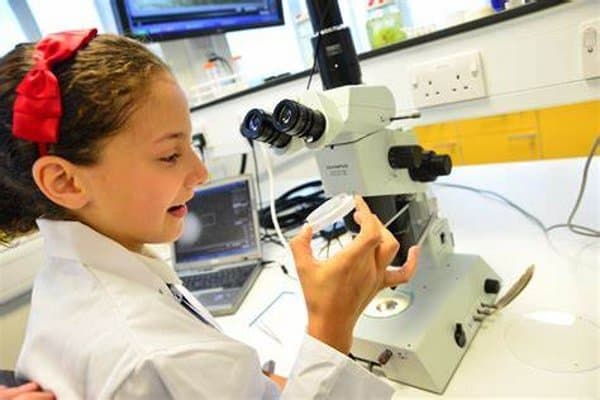 Microscope Education Education - MT Microscope